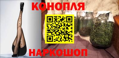 СК Ярославль