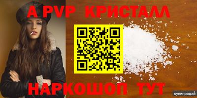 СК Ярославль