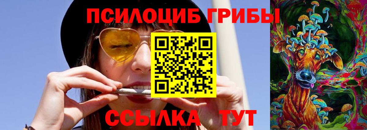 Галлюциногенные грибы прущие грибы Междуреченск